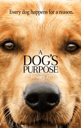 a-dogs-purpose